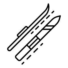 Skis icon. Outline skis vector icon for web design isolated on white background
