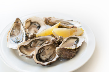 Fresh oysters. Raw fresh oysters on white round plate, image isolated, with soft focus. Restaurant delicacy. Saltwater oysters