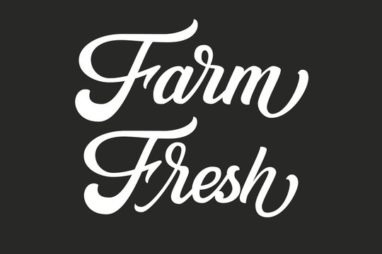 Hand drawn lettering Farm Fresh. Vector Ink illustration. Typography poster on black background. Organic, natural farm fresh food design template for cards, invitations, prints etc.