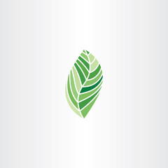natural bio leaf plant eco symbol element