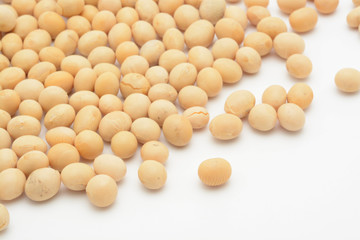 Soja amarilla cruda sobre fondo blanco