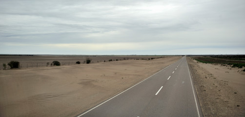 carretera RN3 cerca de Carmen de Patagones afectada por la deforestación, provincia de Buenos Aires (Argentina) - obrazy, fototapety, plakaty