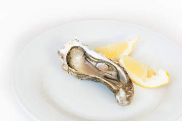 Fresh oyster with lemon. Raw fresh oyster on white round plate, image isolated, with soft focus....