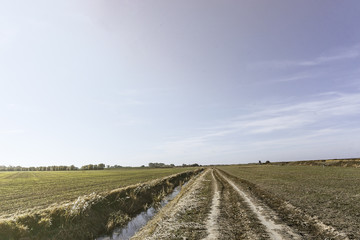 Fototapeta na wymiar vertrocknete Felder im heißen Sommer
