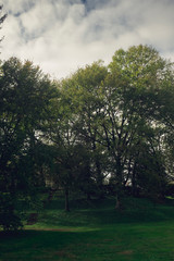 Old house behind trees at the top of a hill.