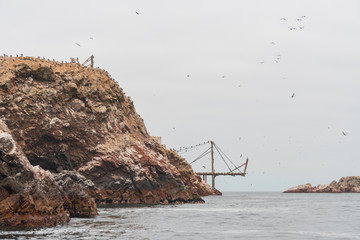 Islas Balletas Boat Tour