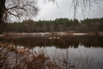 river of Gauja near Valmiera with sandstone cliffs and calm water in early winter
