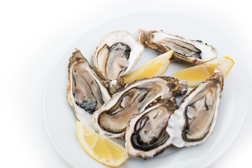 Fresh oysters. Raw fresh oysters on white round plate, image isolated, with soft focus. Restaurant delicacy. Saltwater oysters