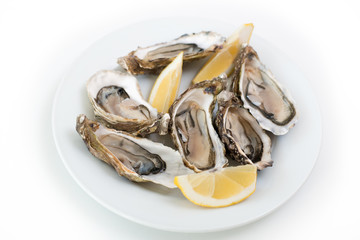 Fresh oysters. Raw fresh oysters on white round plate, image isolated, with soft focus. Restaurant delicacy. Saltwater oysters