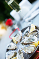 Fresh oysters with lemon's slices in ice and champagne. Restaurant delicacy, beautiful table setting. Saltwater oysters dish.
