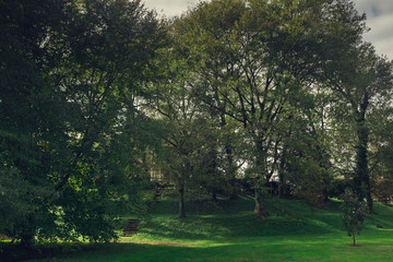 Fototapeta premium Old house behind trees at the top of a hill.