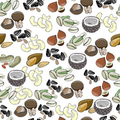 Hand drawn various nuts and seed. Colorful graphic vector seamless pattern