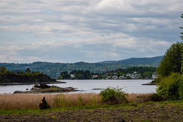 rocky coastline in Norway with few pine trees