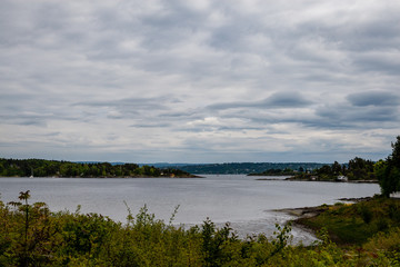 rocky coastline in Norway with few pine trees