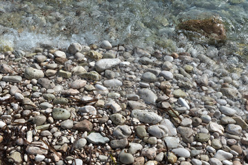 shore with stones