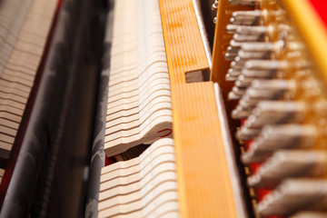 new piano with open strings indoor closeup