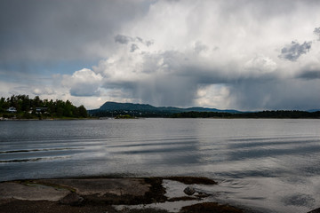 rocky coastline in Norway with few pine trees