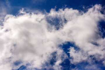 lush white cumulus clouds swim across the blue sky