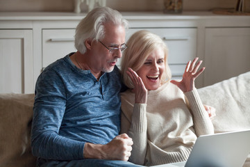 Excited aged husband and wife relax on couch at home feel euphoric winning online lottery at...