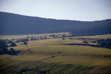 Obraz premium cloudy and misty Slovakian Western Carpathian Tatra Mountain skyline covered with forests and trees