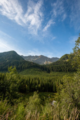 Fototapeta na wymiar cloudy and misty Slovakian Western Carpathian Tatra Mountain skyline covered with forests and trees