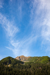 cloudy and misty Slovakian Western Carpathian Tatra Mountain skyline covered with forests and trees