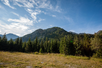 cloudy and misty Slovakian Western Carpathian Tatra Mountain skyline covered with forests and trees