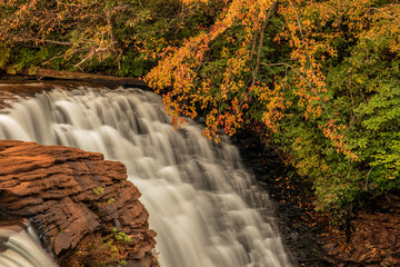 waterfall in forest