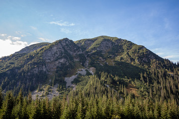 cloudy and misty Slovakian Western Carpathian Tatra Mountain skyline covered with forests and trees
