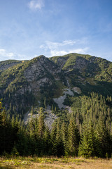 cloudy and misty Slovakian Western Carpathian Tatra Mountain skyline covered with forests and trees