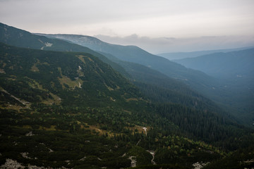Fototapeta premium cloudy and misty Slovakian Western Carpathian Tatra Mountain skyline covered with forests and trees