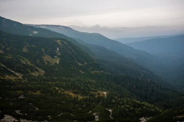 cloudy and misty Slovakian Western Carpathian Tatra Mountain skyline covered with forests and trees