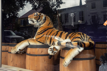 Large stuffed tiger toy in a store window