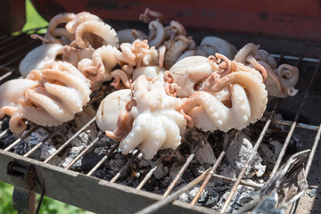 Cooking the grilled polyps