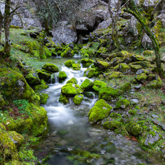 cascade falls over mossy rocks