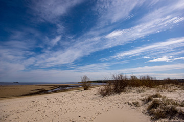 empty sea beach in spring with some birds and cargo ships on the horizon