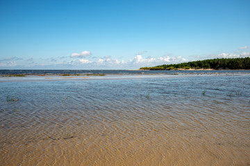 empty sea beach in spring with some birds and cargo ships on the horizon