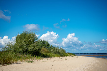 empty sea beach in spring with some birds and cargo ships on the horizon