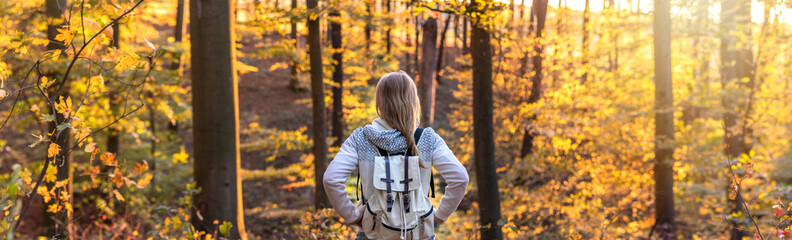 Woman with backpack walking in forest at autumn, panoramic view