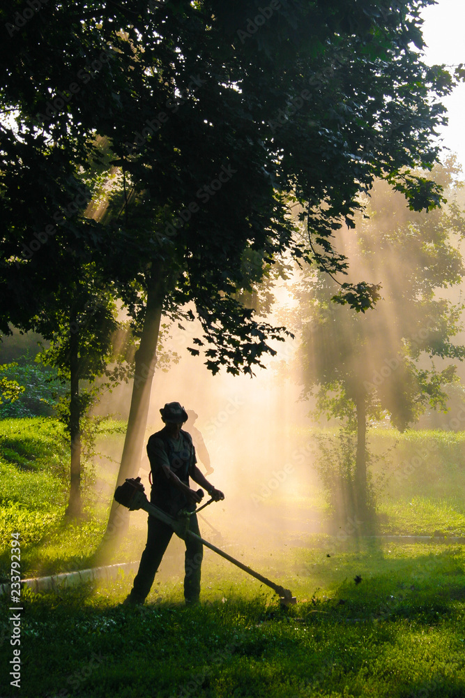 Wall mural people cutting grass with brush cutter outdoor