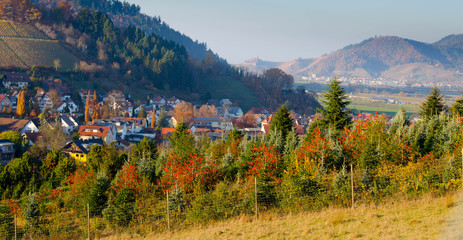 Berghaupten im Schwarzwald im November