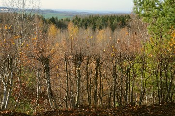 Ausblick über das Erzgebirge im herbstlichen November 