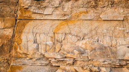 Quarry containing fossiles near Riedenburg-Bavaria-Germany