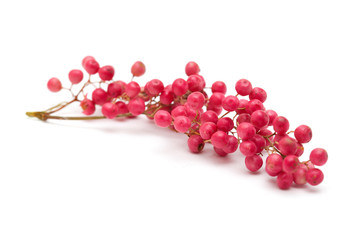 cluster of pink peppercorns