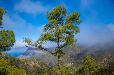 Gran Canaria,  November