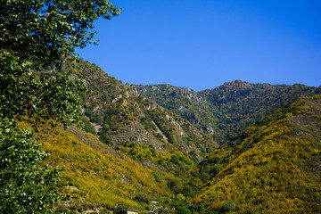 Fototapeta na wymiar Beautiful autumn landscape with mountains and forest, Armenia