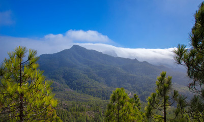Gran Canaria,  Tamadaba