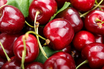 sweet sweet cherries close up