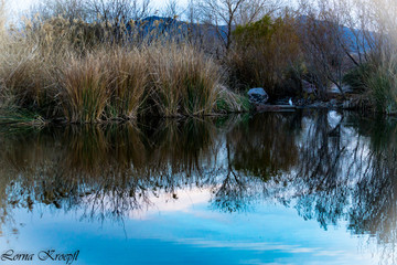 blue sky reflection in pond