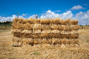 wall pattern with straw bales or dry hay in countryside